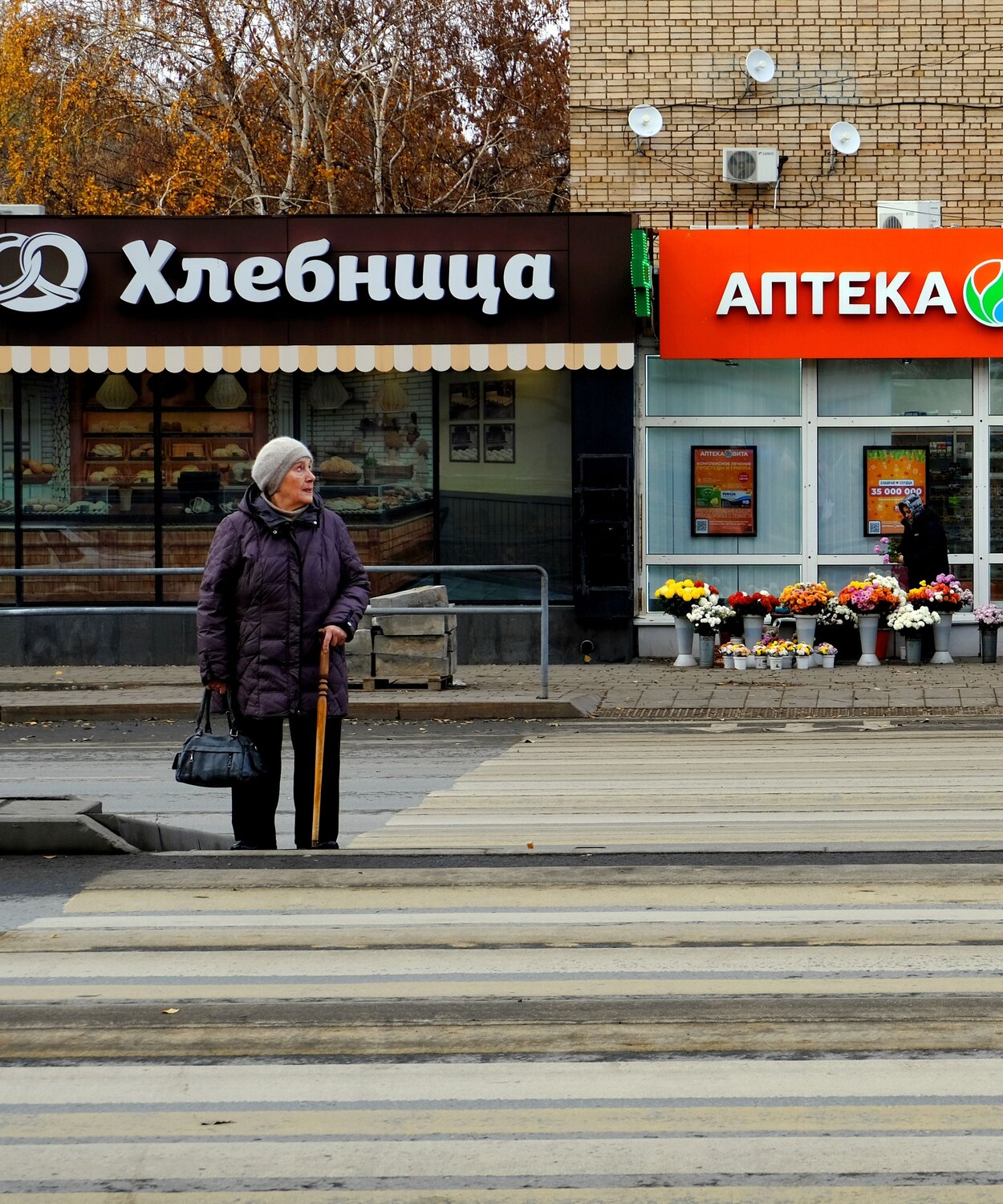 Photo #14005375