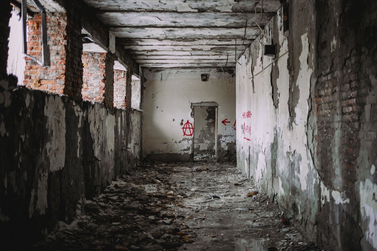 Photo #14005457