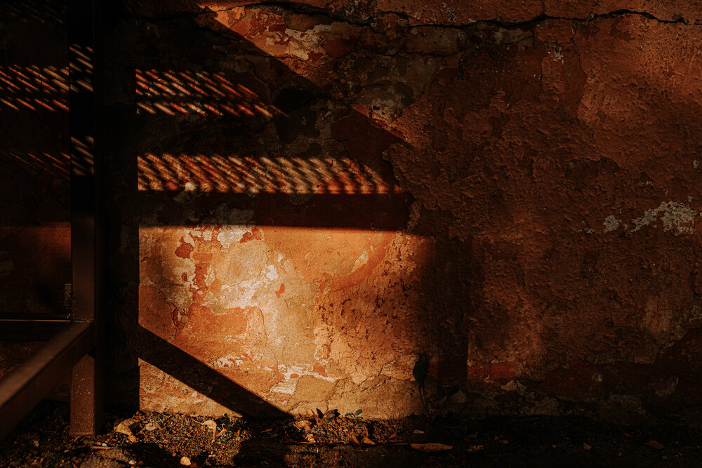 Photograph by Натали Захарова (Тай)