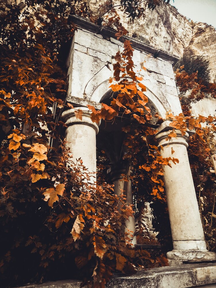 Photograph by Phantom
