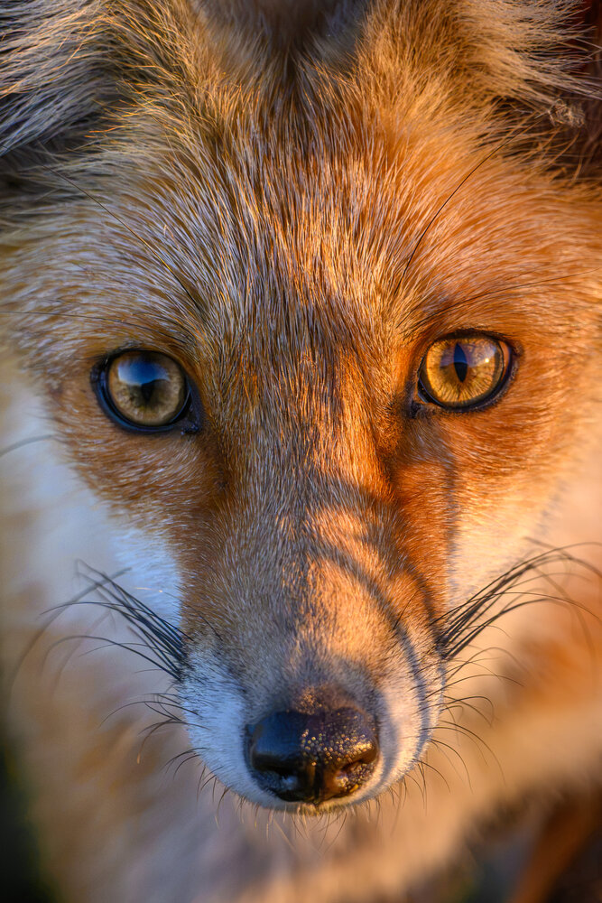 Photograph by Вячеслав Ладанов