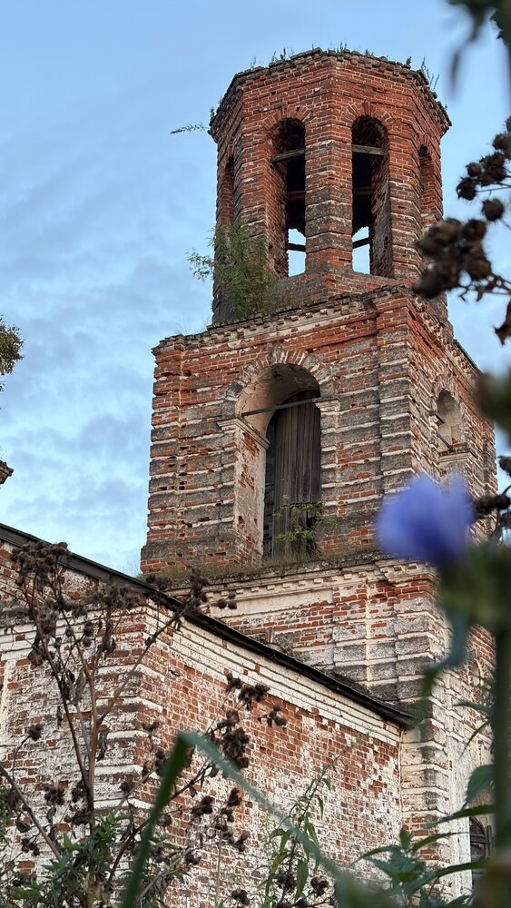 Photograph by Дерягина Татьяна