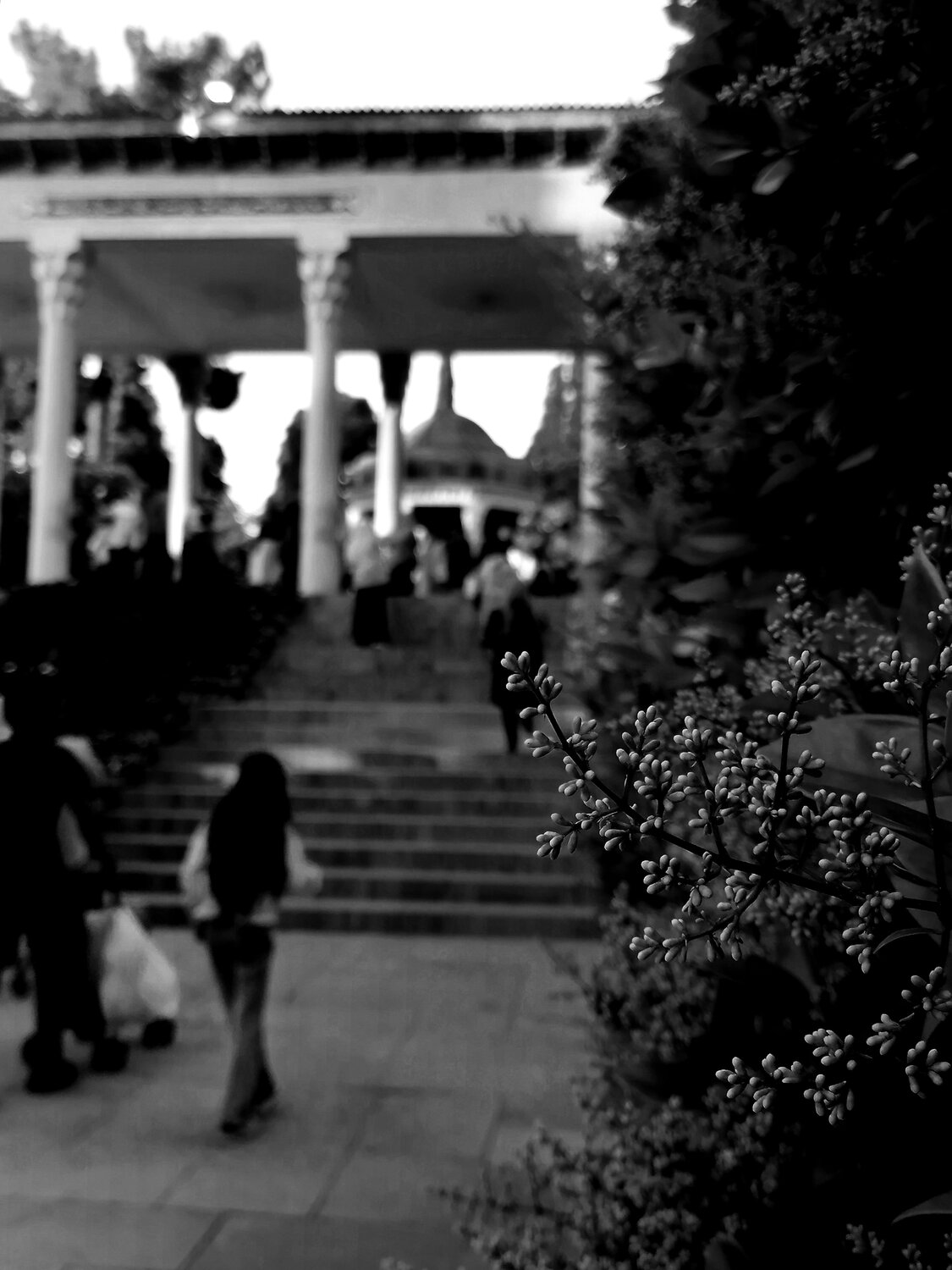 Tranquility in the mausoleum