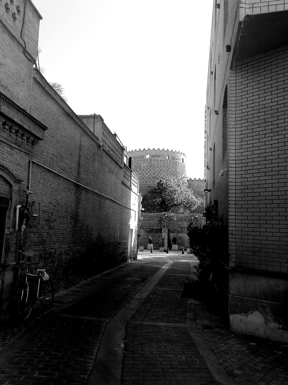 Photo #14005886
