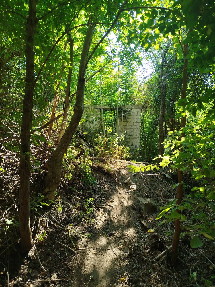 Photograph by Наталья Назаренко