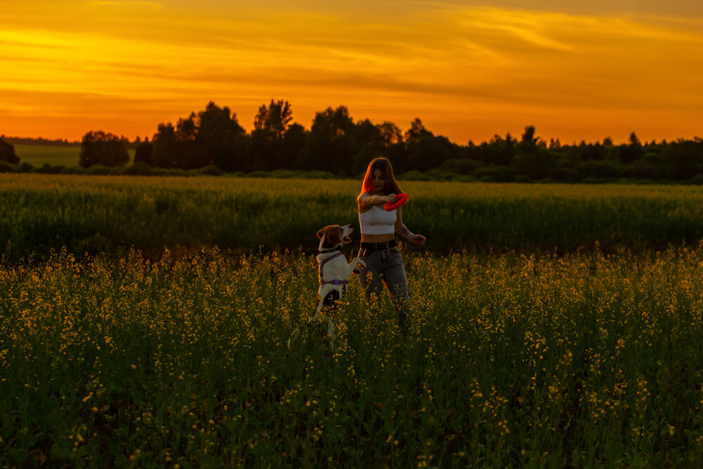 Photograph by Владислав Лопатов