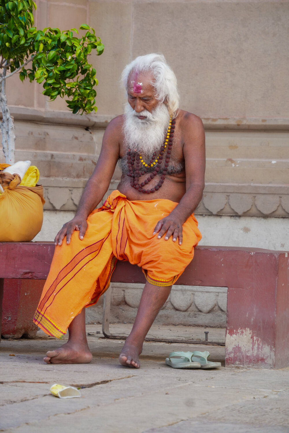Photo #14006173