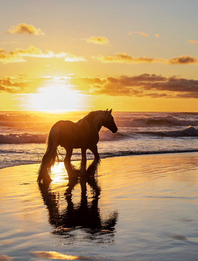 Sunset walk