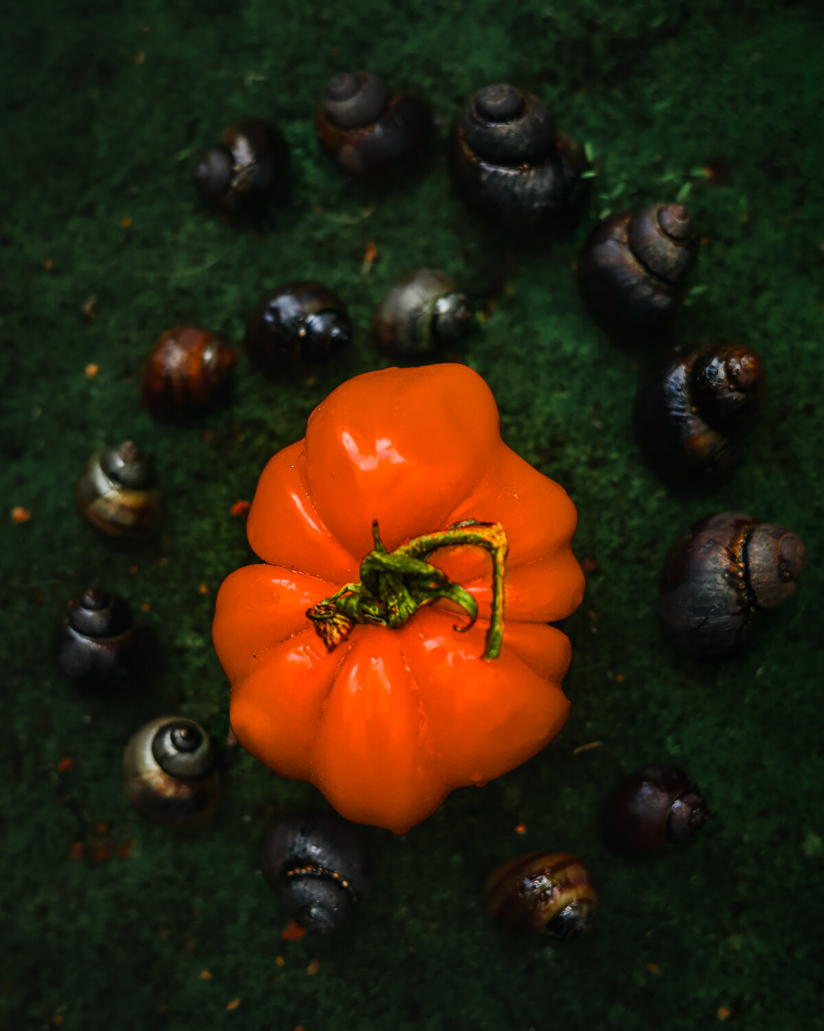 Autumn Keepers