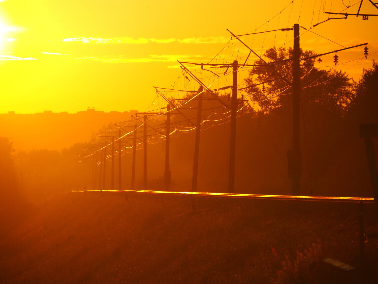 Photo #14006342
