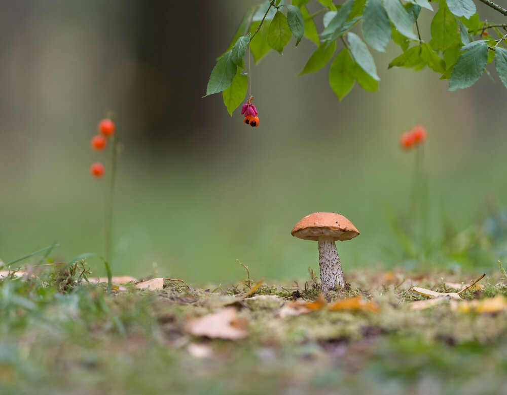 Photograph by Андрей Киселёв