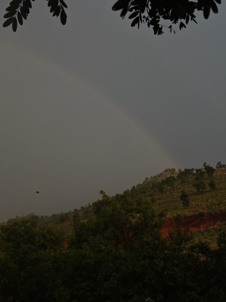 Photograph by Bandhav reddy Cheviti