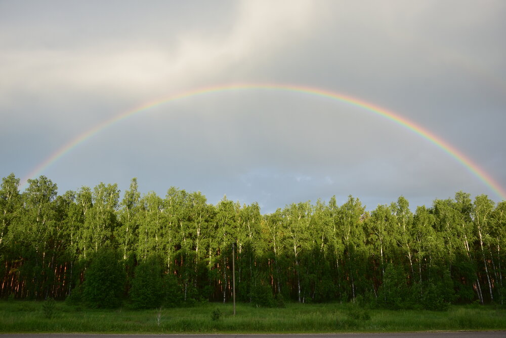 Photo #14006478