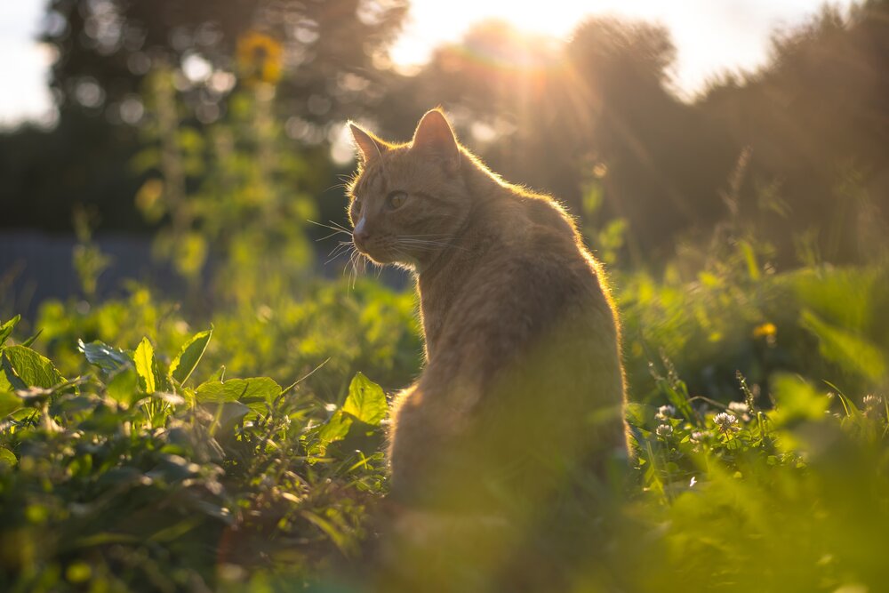 Photograph by Хабаров Сергей