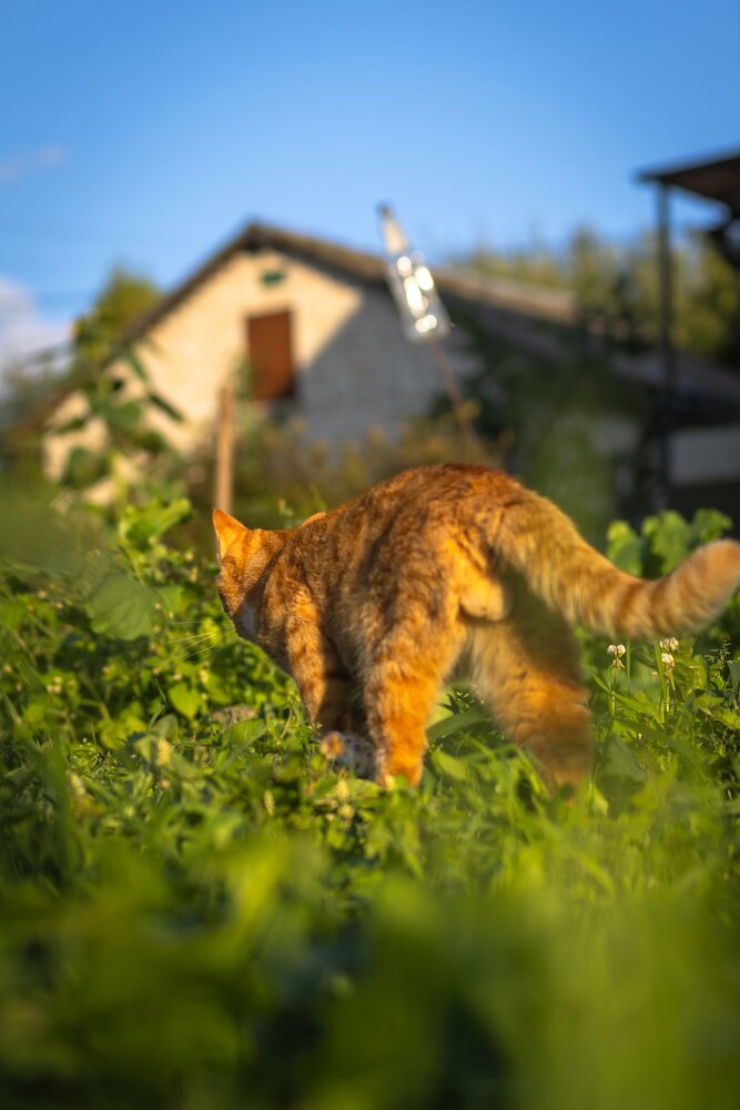 Photograph by Хабаров Сергей