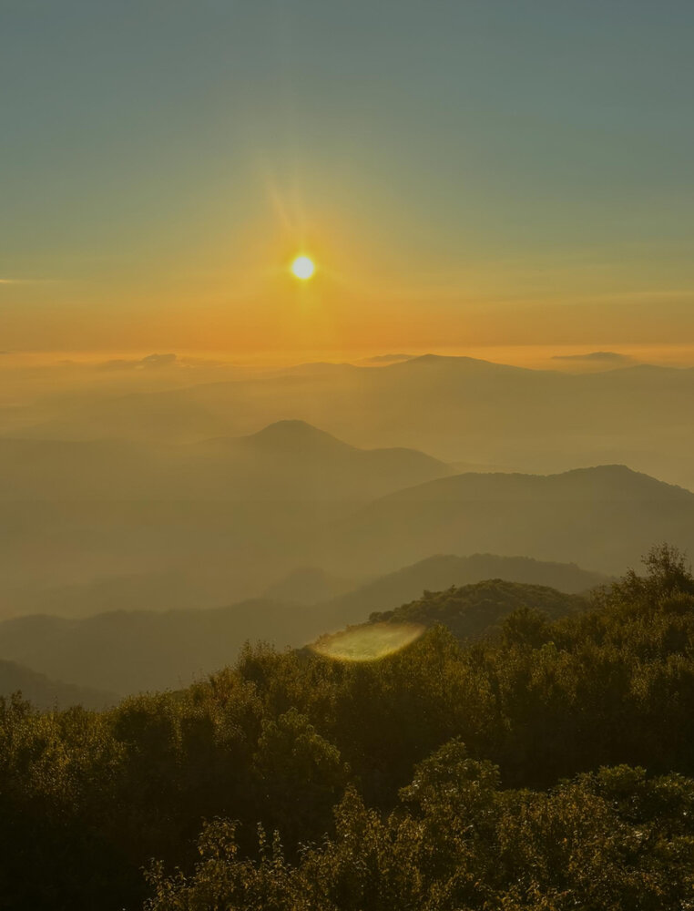 Photograph by Vidhi Khurana