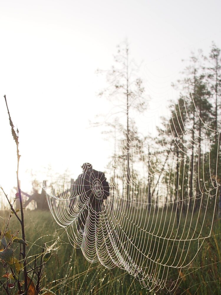 Photograph by Сергей Пушкин
