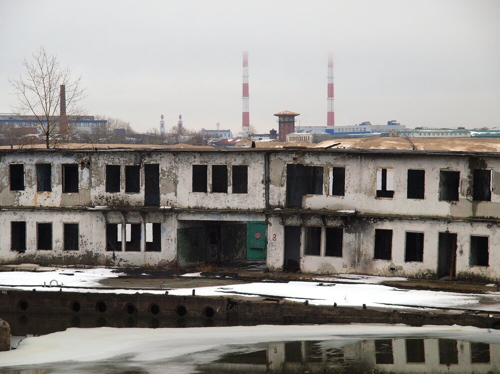 Photo #14006589
