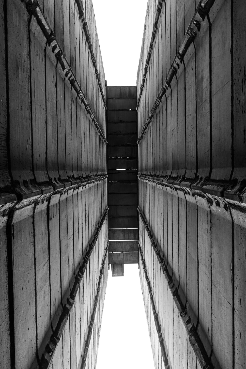 Photo #14006595