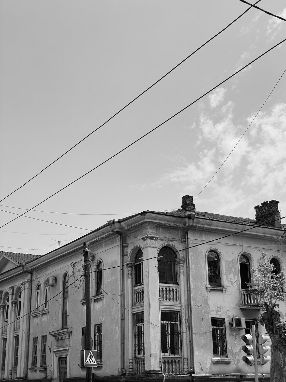 Photo #14006612