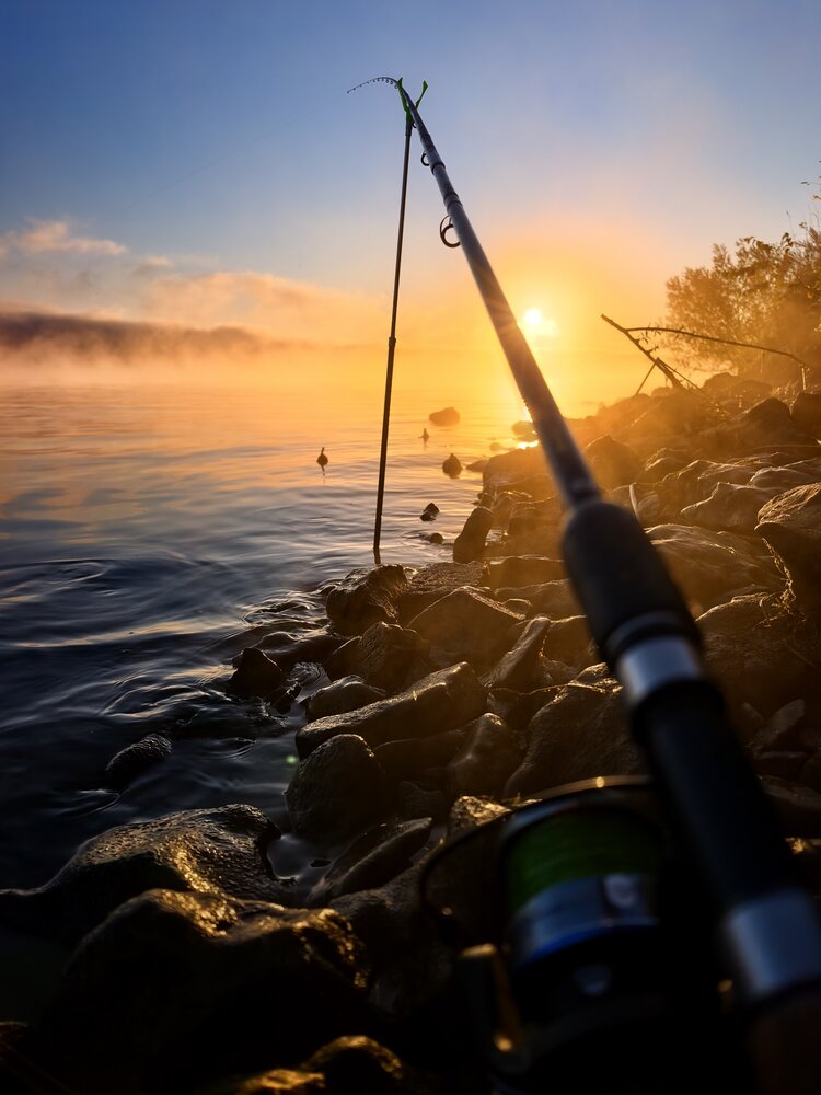 Photograph by Андрей Лебедев