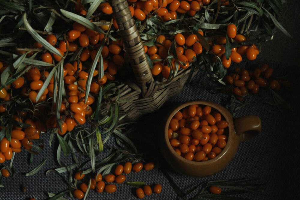 Photograph by Ольга