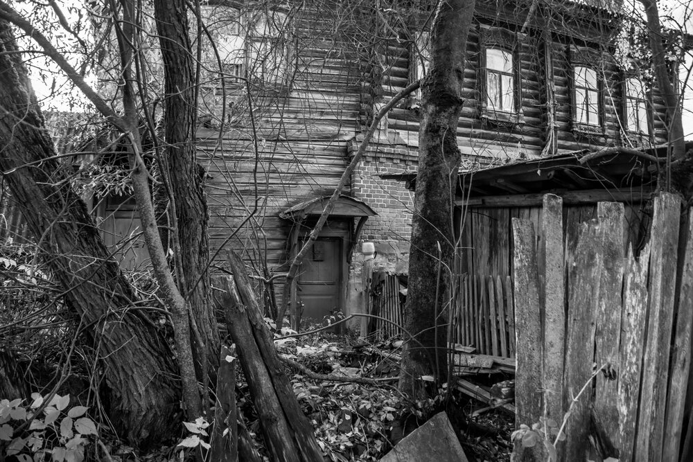 Photograph by Елена Царёва