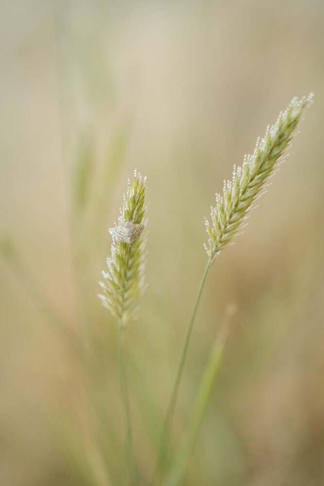 Photograph by Екатерина Великанова
