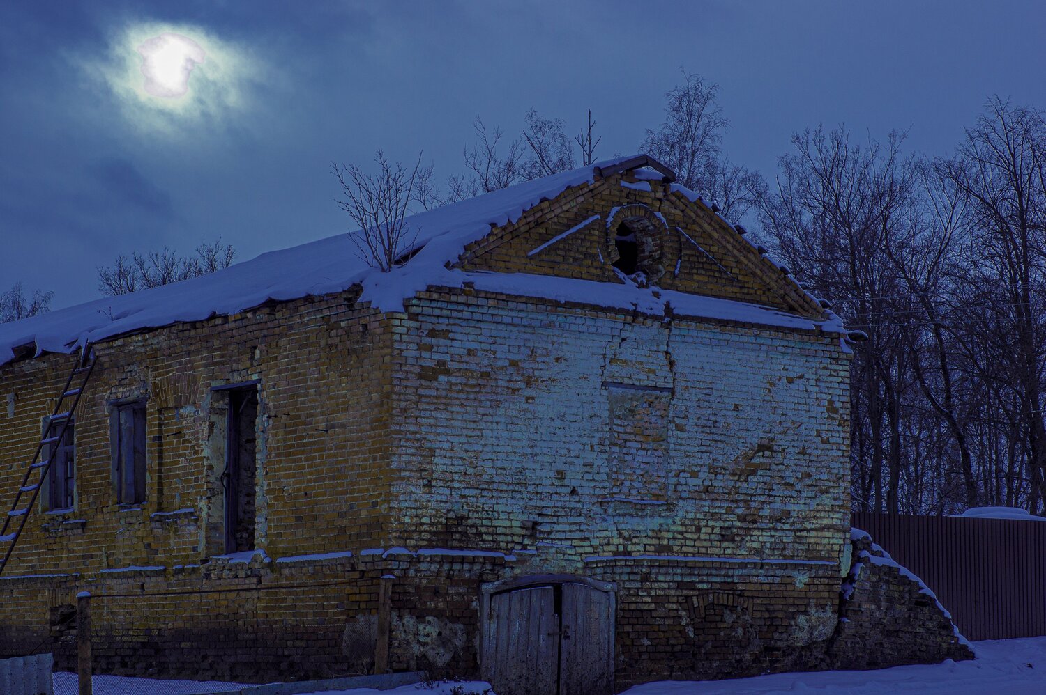 Photo #14006969