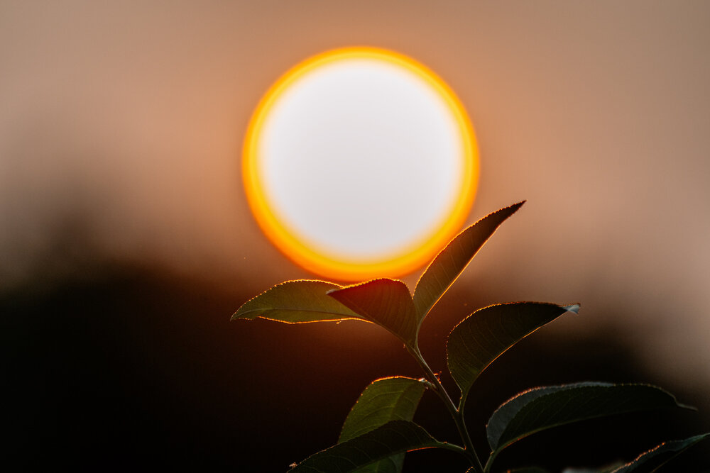 Photograph by Дмитрий Заворыкин