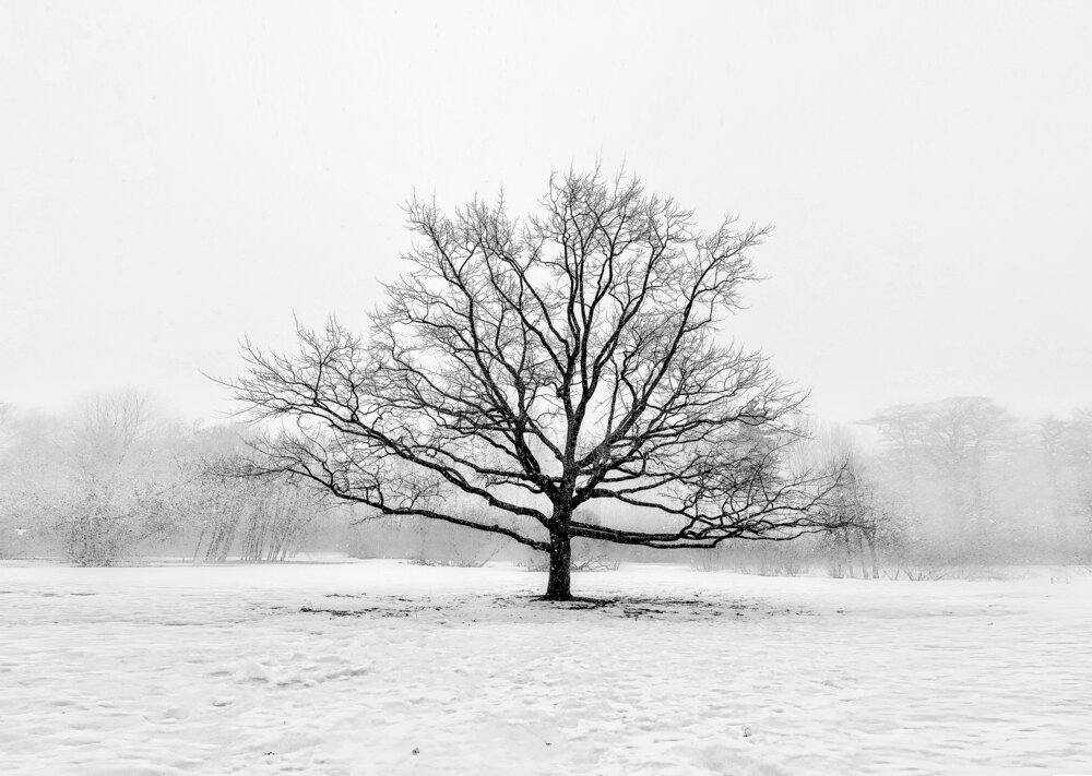 Photograph by Гордий Михаил