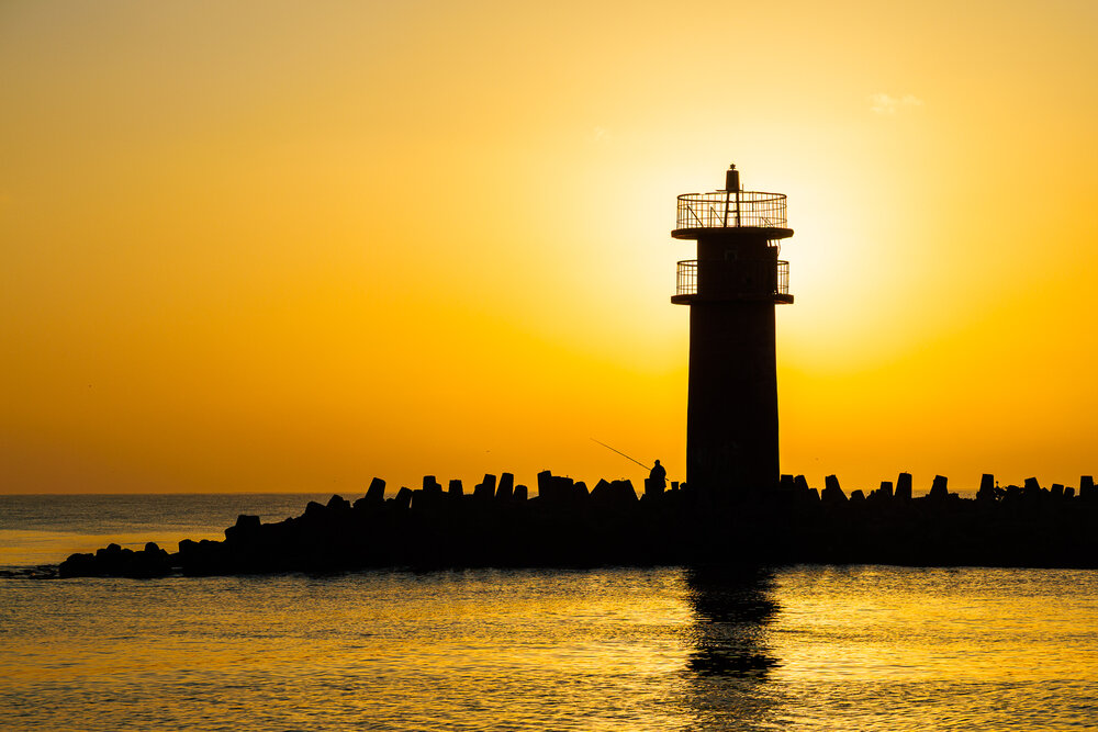 Photograph by Alaa Nour