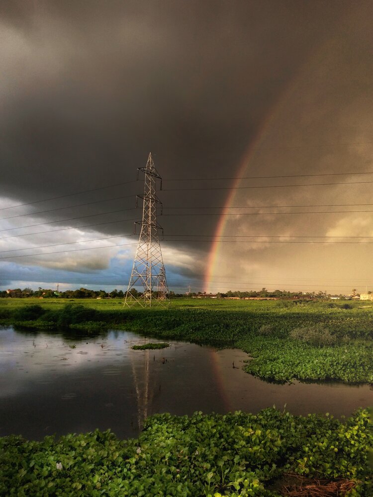Photo #14007031