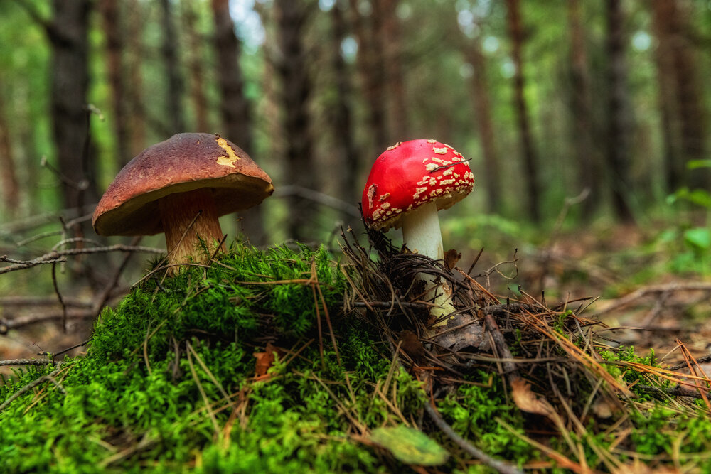 Photograph by Абашкин Сергей