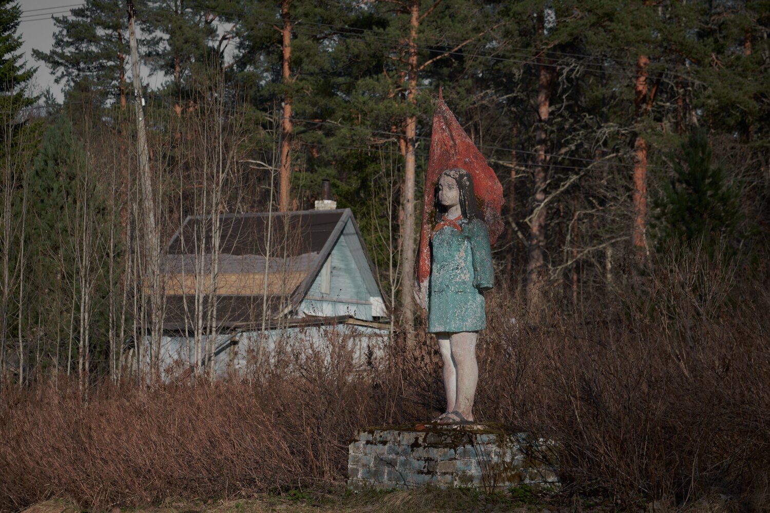 Photo #14007114