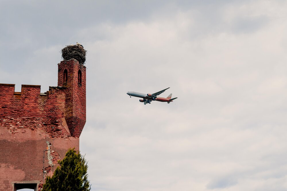 Photograph by Святослав Зеков