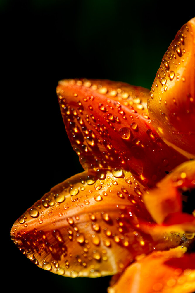 Фотография автора Eric Galton