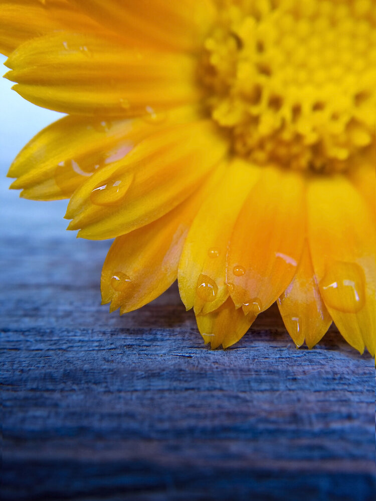 Photograph by Елена Опалева