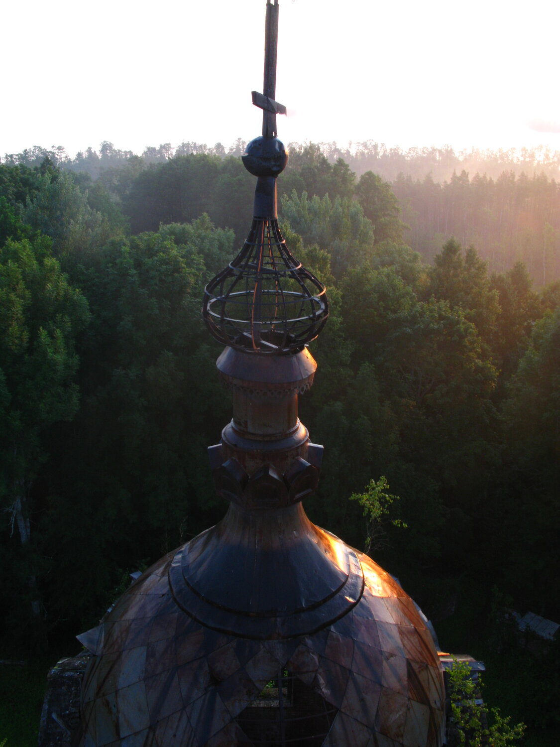 Photo #14007255