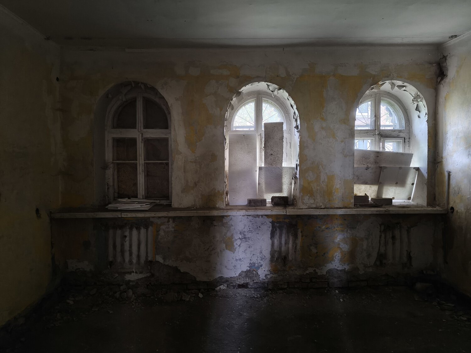 Photo #14007340