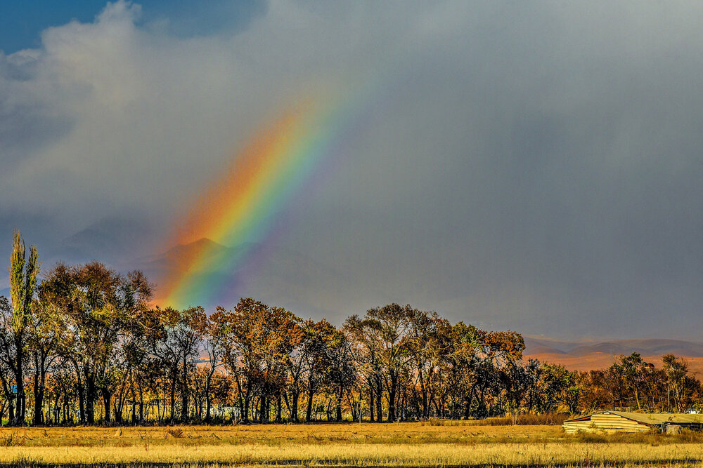 Rainbow