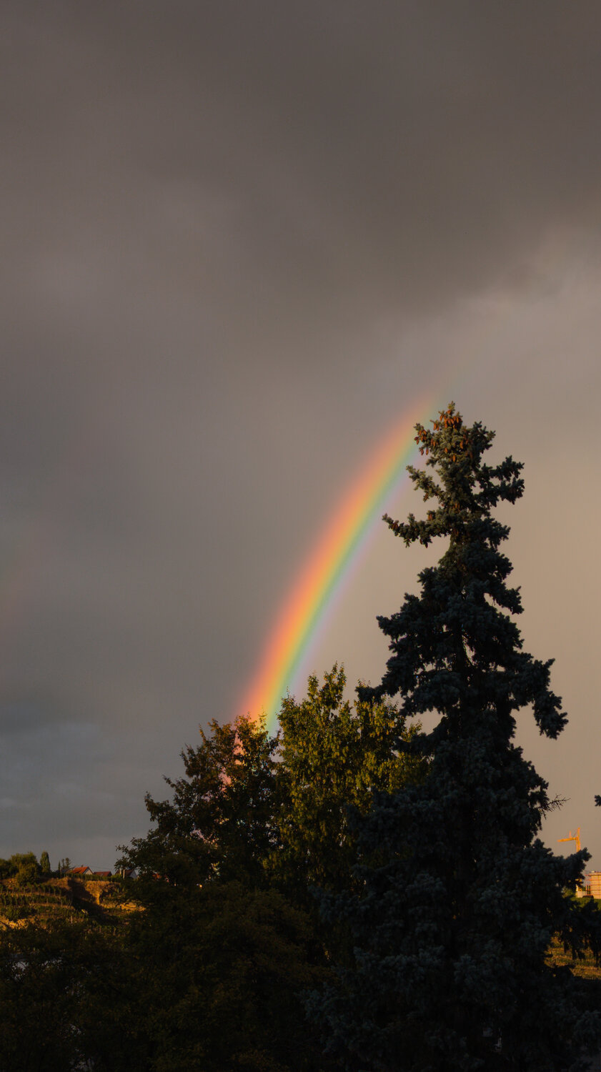 Photo #14007359