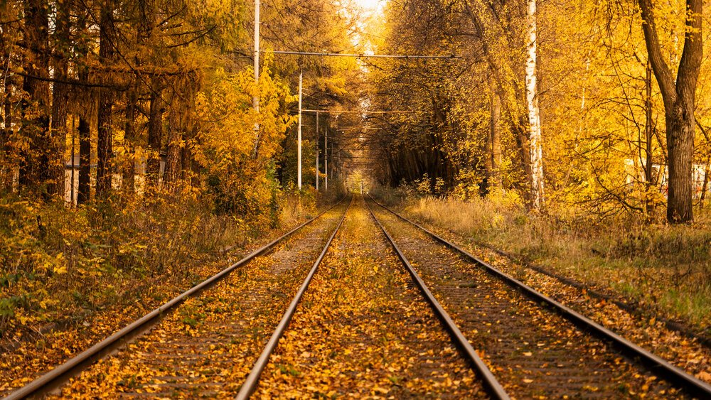 Photograph by Илья Жуковский