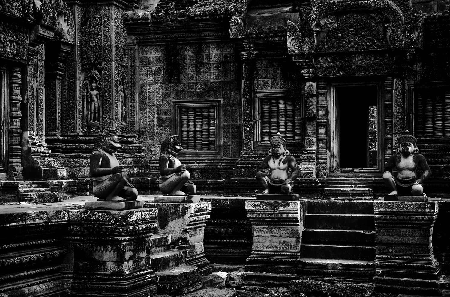 Photo #14007633