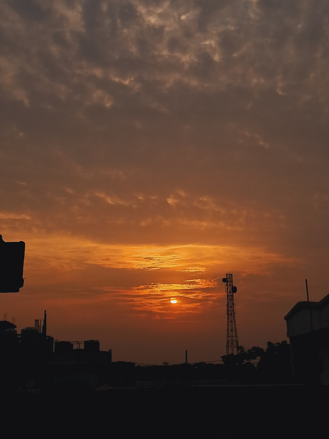 Photo #14007715