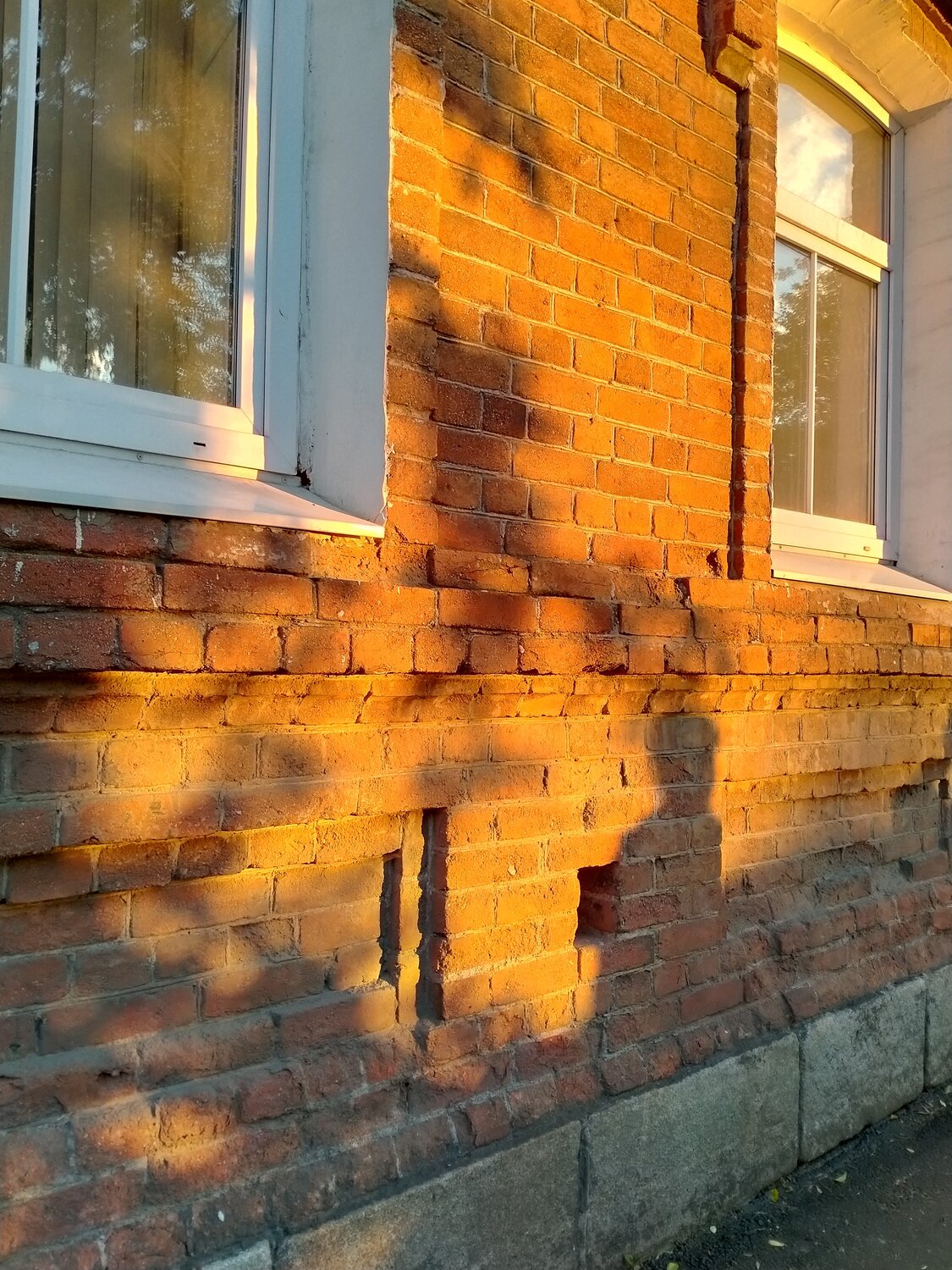 Photo #14007754