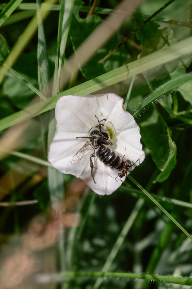 Photograph by Дмитрий Заворыкин