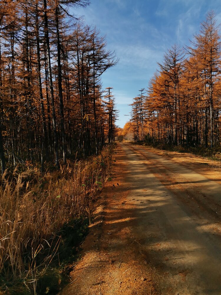 Photograph by Ольга Логарева