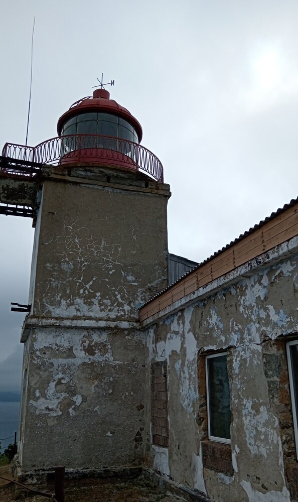 Photo #14007805