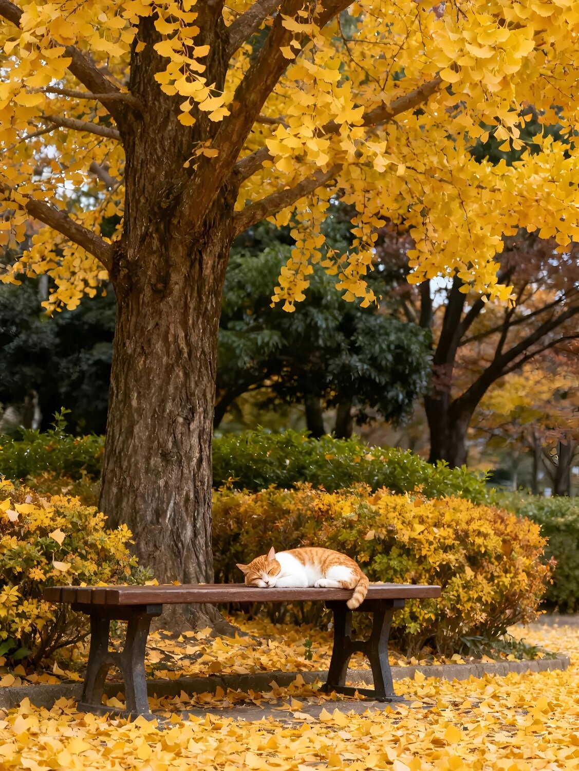 Golden Slumber